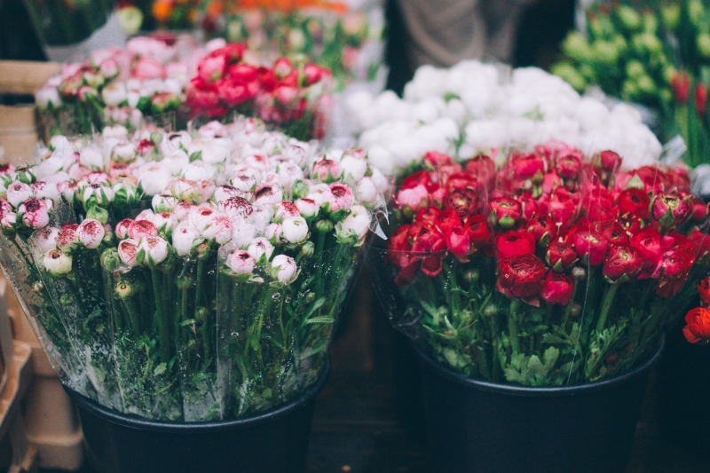 fleuriste-ROQUESTERON-min_farmers-market-1209712